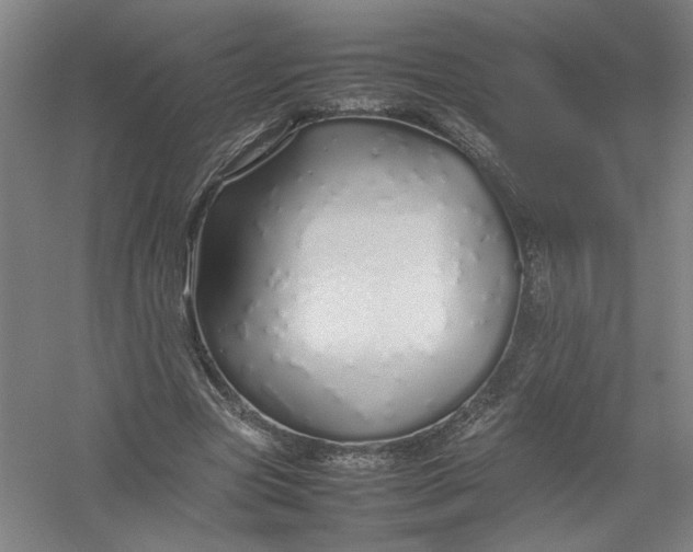 X0000054410537200508192034