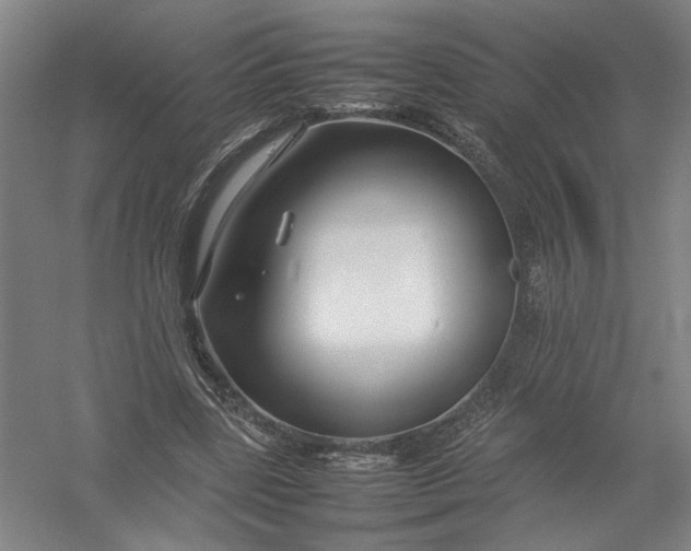 X0000054410539200508192034