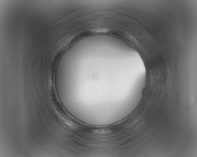 X0000054410541200508192034