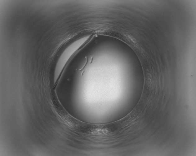 X0000054410543200508192034