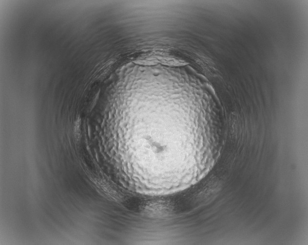 X0000054410550200508192034