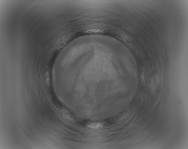 X0000054410551200508192034