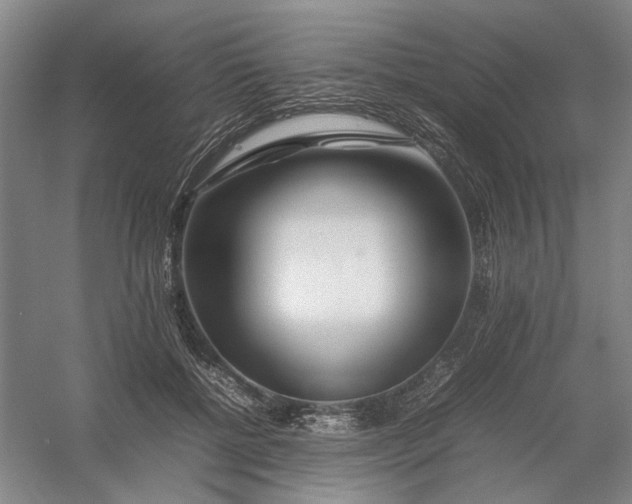 X0000054410552200508192034