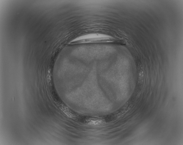 X0000054410555200508192034