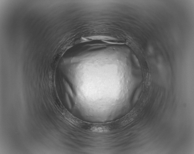 X0000054410557200508192034