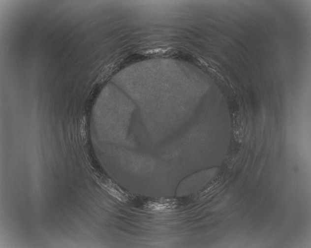 X0000054410563200508192034