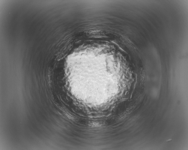 X0000054410565200508192034