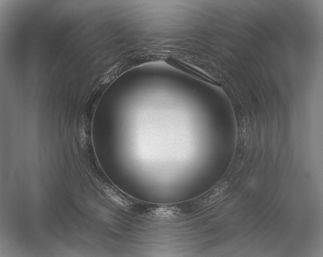 X0000054410566200508192034