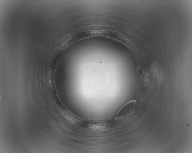 X0000054410567200508192034