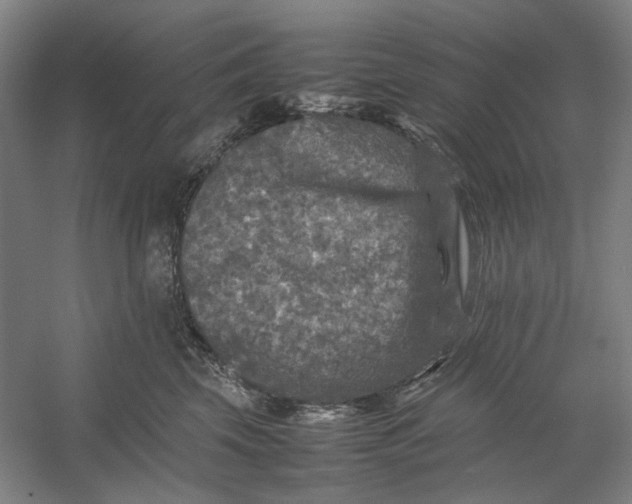 X0000054410569200508192034