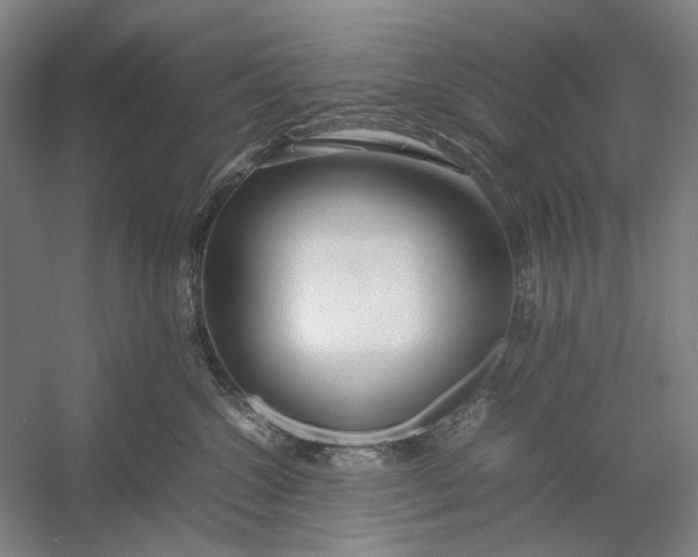 X0000054410572200508192034