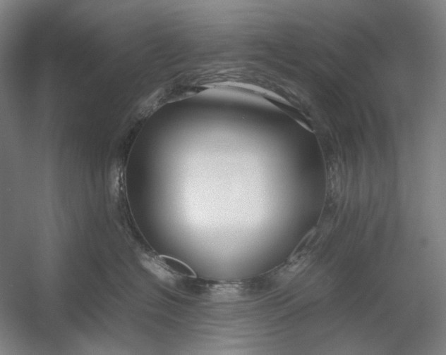 X0000054410574200508192034