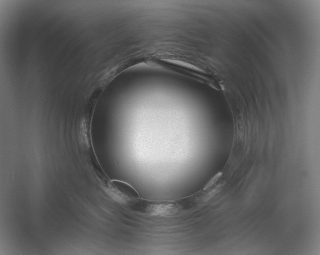 X0000054410575200508192034
