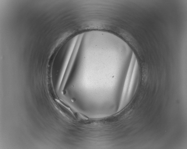 X0000054410578200508192033