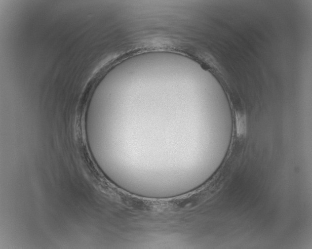 X0000054410579200508192033
