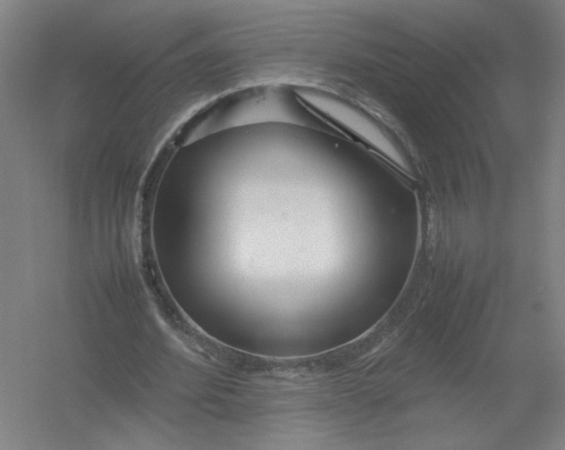 X0000054410580200508192033