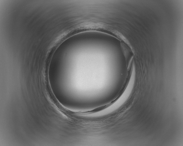 X0000054410581200508192033
