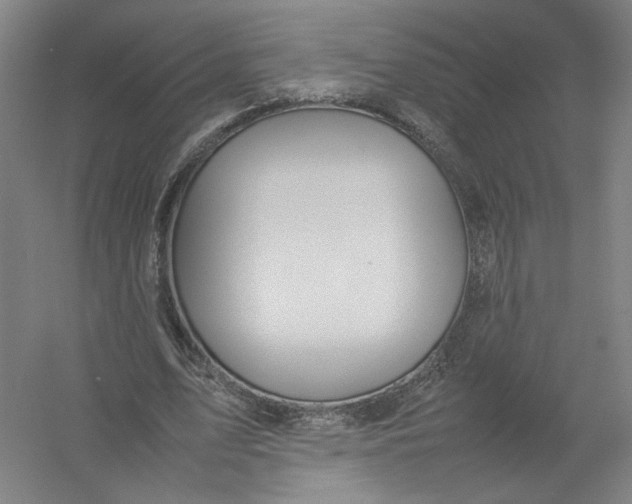 X0000054410583200508192033