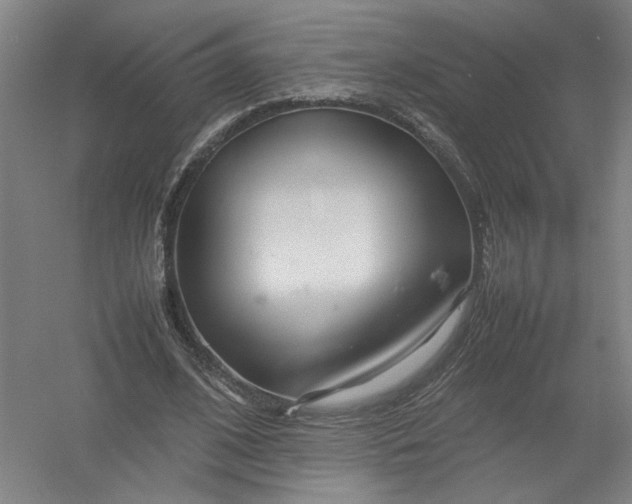 X0000054410584200508192033