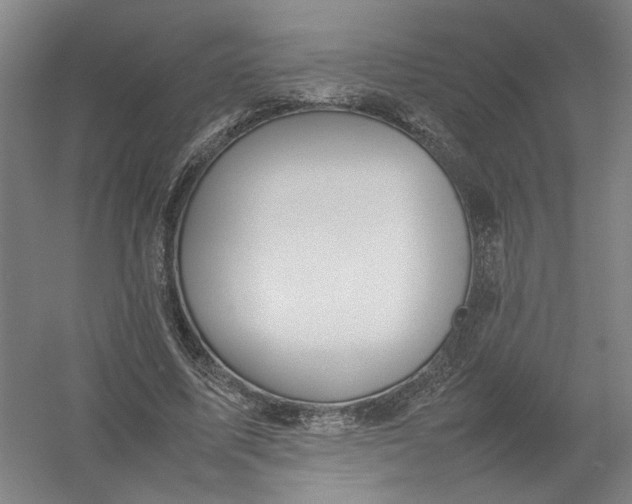 X0000054410587200508192033