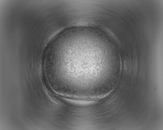 X0000054410588200508192033
