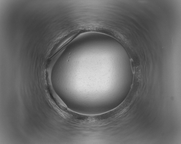 X0000054410589200508192033