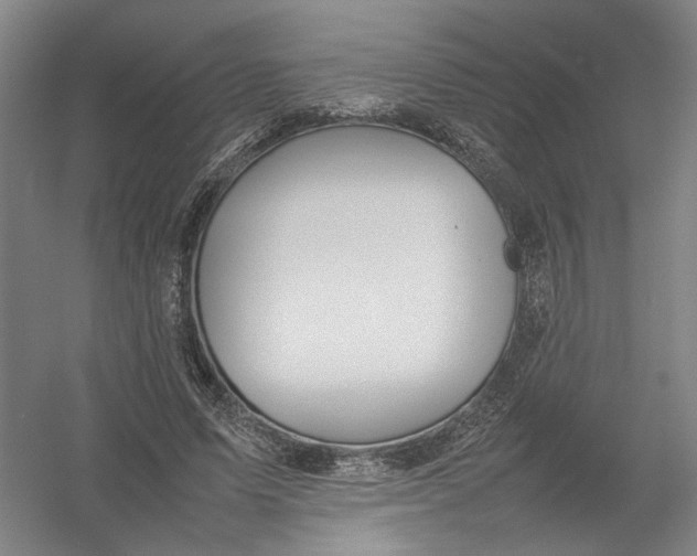 X0000054410591200508192033