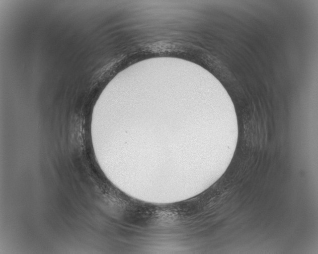 X0000054410592200508192033