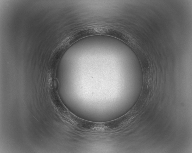 X0000054410595200508192033