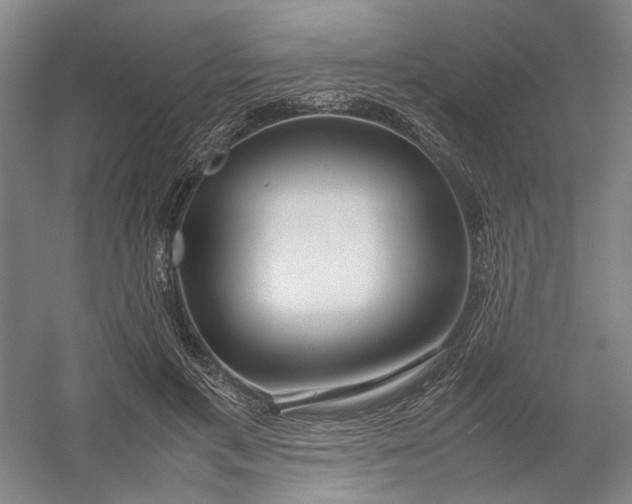 X0000054410597200508192033