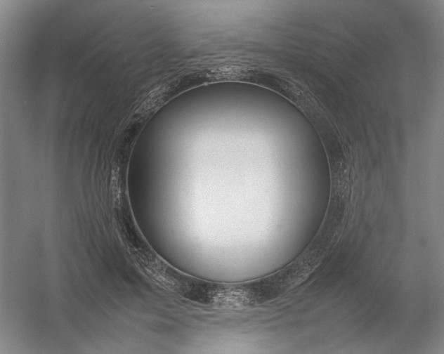 X0000054410599200508192033