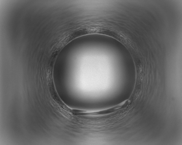X0000054410601200508192033