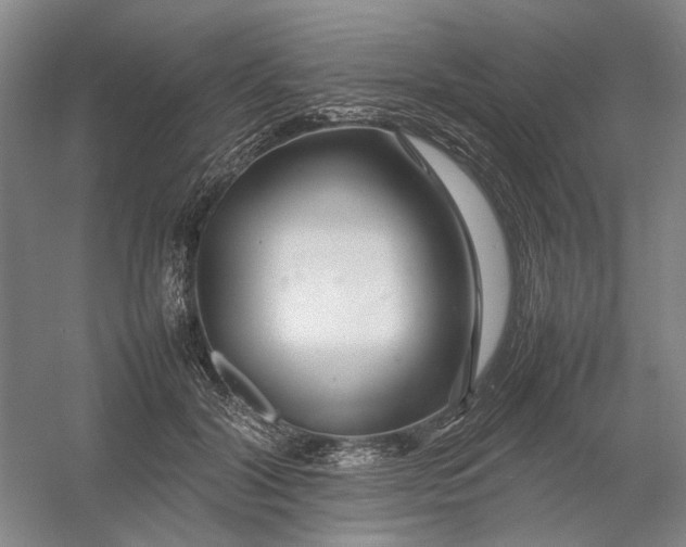 X0000054410604200508192033