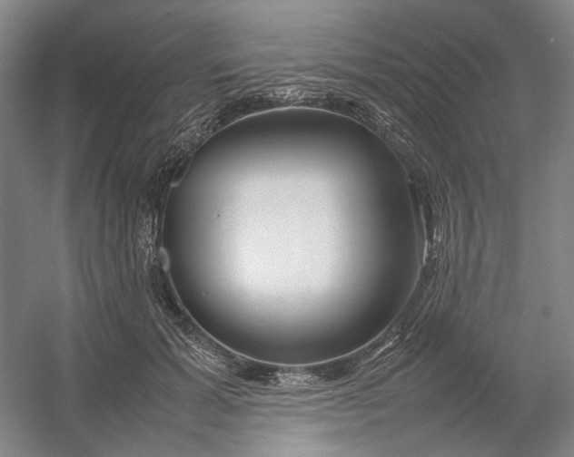 X0000054410605200508192033