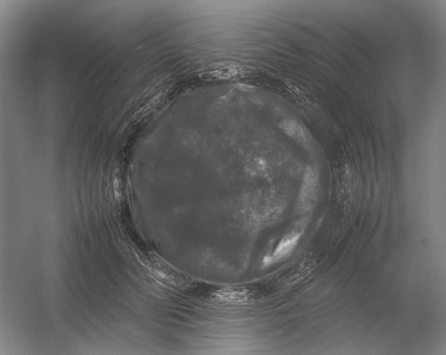 X0000054410606200508192033