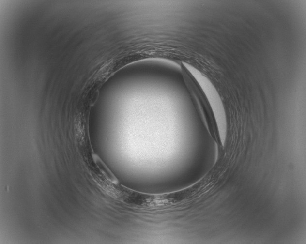 X0000054410607200508192033