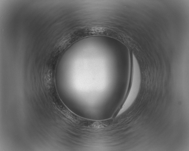 X0000054410608200508192033