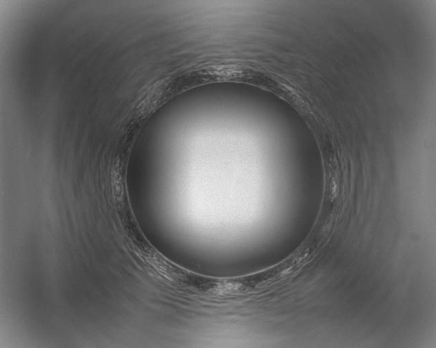 X0000054410609200508192033