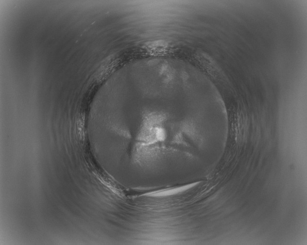 X0000054410610200508192033