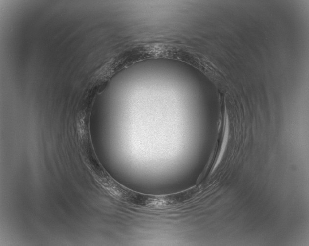 X0000054410611200508192033