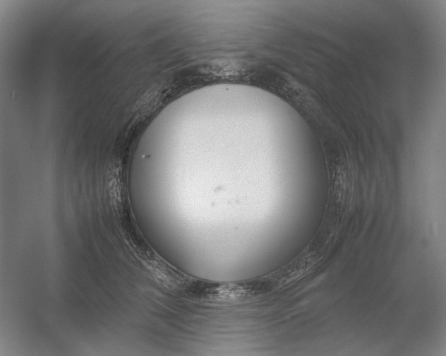X0000054410612200508192033