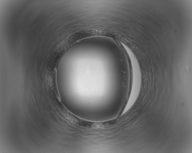 X0000054410613200508192033