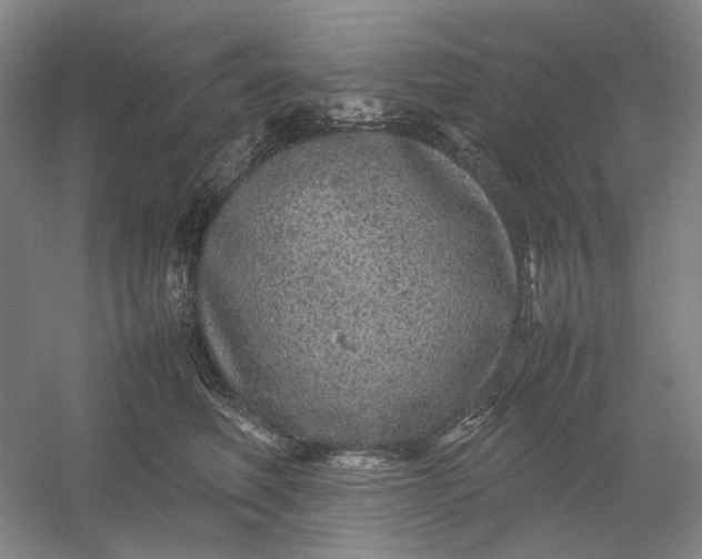 X0000054410614200508192033