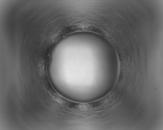 X0000054410615200508192033