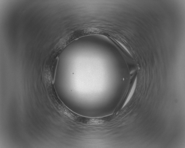 X0000054410617200508192033