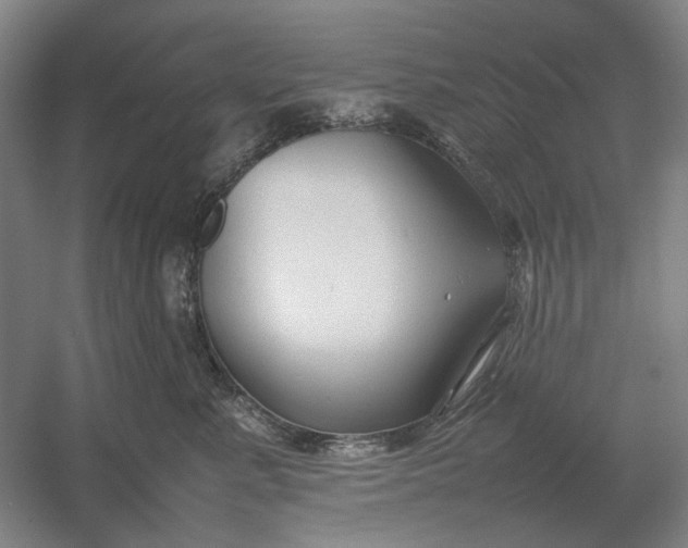 X0000054410619200508192033