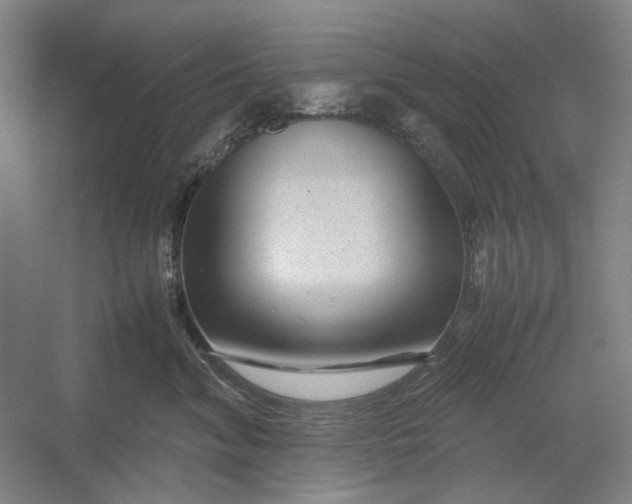 X0000054410620200508192033