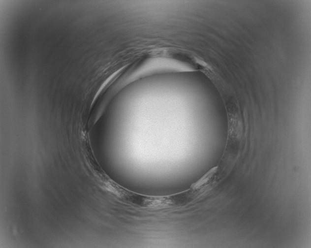 X0000054410621200508192033