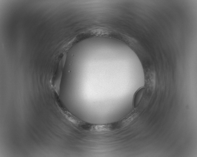 X0000054410622200508192033