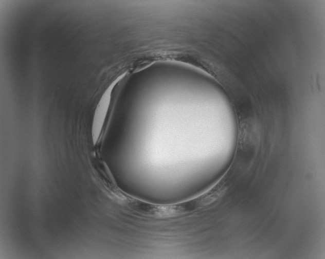 X0000054410623200508192033